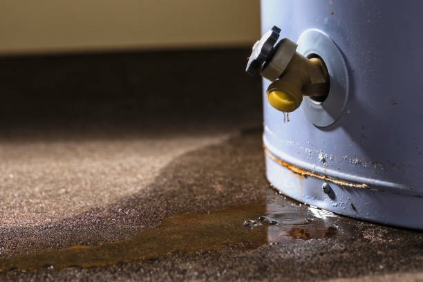 Best Water damage contractors near me  in Lyons, GA