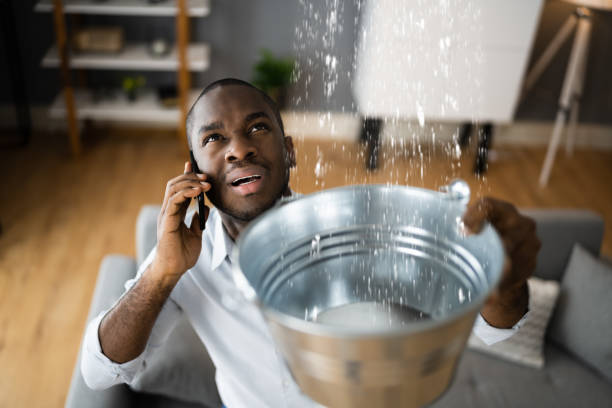 Best Water damage restoration near me  in Lyons, GA