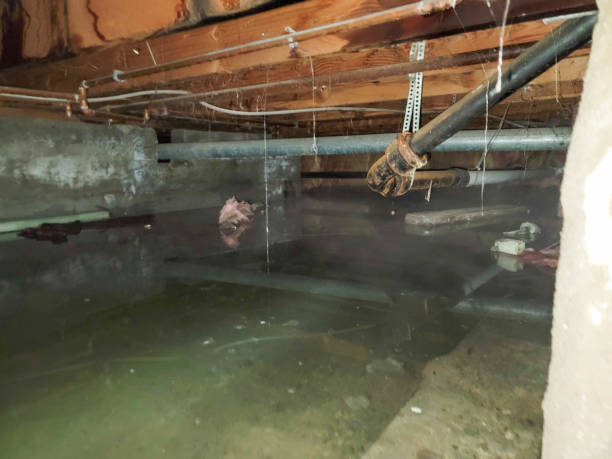Best Water damage cleanup near me  in Lyons, GA