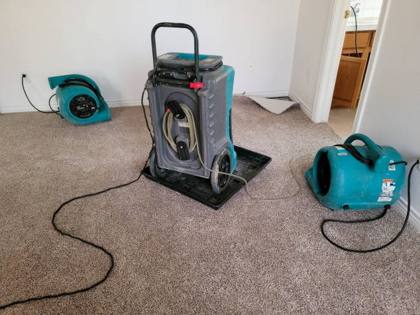 Best Commercial water damage restoration  in Lyons, GA