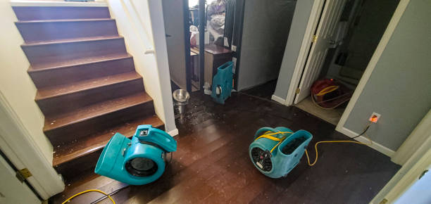 Best Carpet water damage restoration  in Lyons, GA