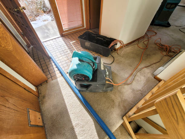 Best Mold removal after water damage  in Lyons, GA