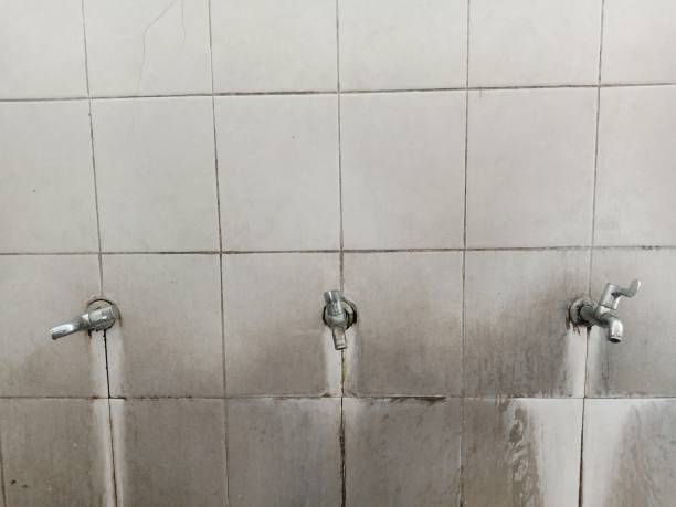Trusted Lyons, GA Water damage restoration Experts