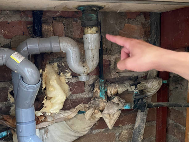 Best Ceiling water damage repair  in Lyons, GA